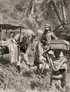 塞缪尔-怀特-贝克爵士（1821-1893 年），英国旅行家和探险家。 作者 未知艺术家