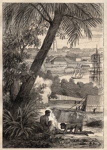 尼古拉-鲍丁（1754-1803）的《南部地区远征》（1800-1803）。悉尼（澳大利亚）的景色--来自 "18世纪伟大的航海家 "的插图 作者 未知艺术家