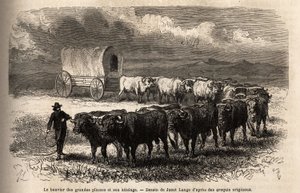 The big plains steer and its hitch. Engravure pour illustration le voyage au far west americain, by M. L. Simonin, in 1867, published in “Le tour du monde, nouveau journal des voyages””, edited by Edouard Charton 作者 未知艺术家