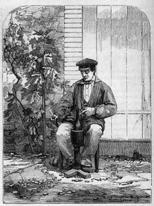香槟酒的装瓶。1864年的雕版画。 作者 未知艺术家