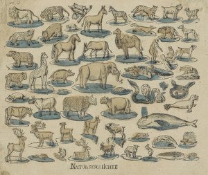 动物。 1750-1800 作者 不明