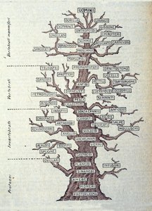 进化之树或代表动物界分类的插图板。 作者 未知艺术家