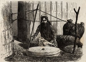 土尔扈特妇女使用谷物磨盘，启动一个巧妙的曲柄系统，上面的石头转动，将这块石头在另一块石头上摩擦，粉碎谷物，这些谷物构成了土尔扈特人饮食的基础，形式为面包、煮食、糍粑。铭文 作者 未知艺术家