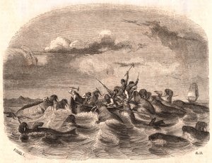 观点的追逐海象牧群的一群英国水手在1818年在卑尔根群岛附近海岸 作者 不明