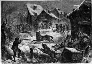 1860年12月31日，罗纳河口省Saliers村的猎狼活动（13）。1861年1月12日《世界画报》第196期上的版画。 作者 未知艺术家