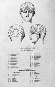 查尔斯·鲁万 (Charles Rouvin) 于 1873 年出版的《人形图谱》一书中的插图，对 1873 年巴黎著名人物的颅相学和生理学的插图研究 作者 未知艺术家