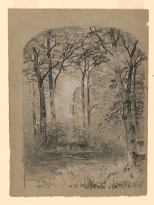 素描，林地研究，1865-70 年 作者 未知艺术家