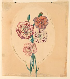一束四朵康乃馨 作者 未知艺术家