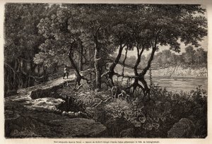 特莱（“湿地”）中的一座悬索桥，这片沼泽草甸区域构成了喜马拉雅山的底部，在印度边境以南与尼泊尔接壤。 Schlagintweit 的兄弟雕刻以说明 1854 年至 1857 年对上亚洲的探索， 作者 未知艺术家