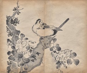 花与鸟 作者 未知艺术家