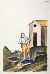 用于染羊毛的蓝色染盘，出自《秘鲁特鲁希略》或《Códice Martínez Compañón》一书，作者为特鲁希略主教巴尔塔扎尔·马丁内斯·康帕尼翁·布扬达 (1782-1785) 作者 未知艺术家
