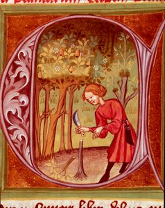植物学：一名园丁正在练习移植。 Pietro de Crescenzi（新月石或新月石）（1233-1320）14 世纪布拉格，国家图书馆，取自“乡村或乡村与农村利润之书”（Rerum villageium commodorum）的缩影 作者 未知艺术家
