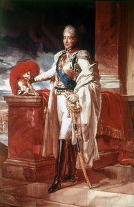 查理十世 (1757 - 1836)。 那不勒斯。 卡波迪蒙特国家博物馆。 作者 未知艺术家