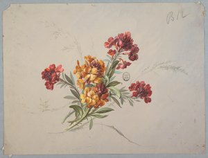 壁纸和纺织品的设计：花卉 作者 未知艺术家