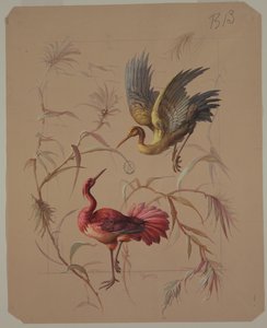 壁纸和纺织品设计：花与鸟 作者 未知艺术家