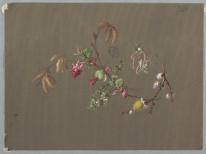 壁纸和纺织品设计：花朵 作者 未知艺术家