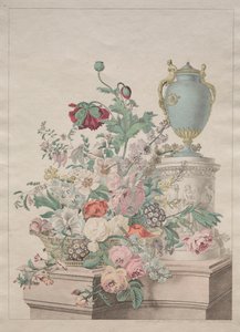 风景如画的植物或花果集 作者 未知艺术家