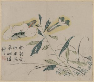 百合花 作者 未知艺术家