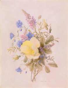 黄玫瑰的花朵 作者 未知艺术家