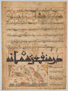 来自 Abu Said Ubaid-Allah ibn Jibrail ibn Bakhtishu（卒于 1058-68 年）的波斯文 Manafi