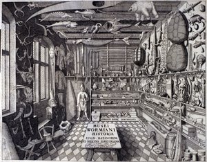 “Musei Wormiani Historia”的正面图展示了 Ole Worm 或 Olaus Wormius 的珍品柜的内部 作者 未知艺术家