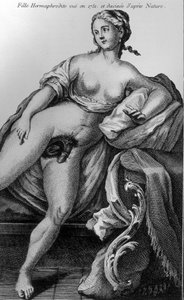 1751年看到的雌雄同体的女孩，取材于大自然。 作者 未知艺术家