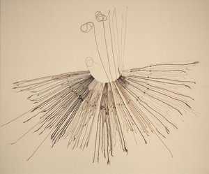 Inka Khipu（纤维记录装置） 作者 未知艺术家
