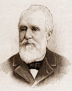 1895年的法兰西学院成员：保罗-阿尔芒-夏勒梅尔-拉库尔（Paul-Armand Challemel-Lacour）（1827-1896）的画像，政治家、外交家和法国哲学史家。 作者 未知艺术家