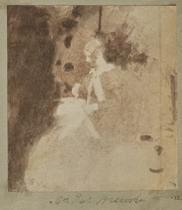 詹姆斯-布鲁斯特夫人 作者 未知艺术家