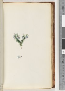 Page 64.身份不明的工厂 作者 未知艺术家