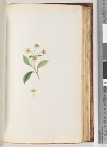 Page 99.身份不明的工厂 作者 未知艺术家