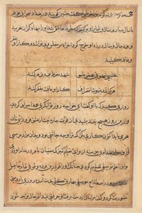 鹦鹉的故事》（Tuti-nama）：文本页 作者 未知艺术家