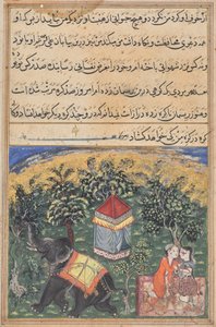 鹦鹉的故事》（Tuti-nama）：文本页 作者 未知艺术家