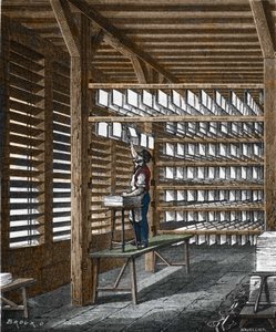 19 世纪的造纸术。 作者 未知艺术家