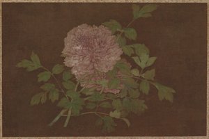牡丹 作者 未知艺术家