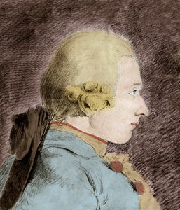 多纳蒂安·阿尔方斯·弗朗索瓦·德·萨德（1740-1814）（萨德侯爵）的肖像 - 仿范卢 作者 未知艺术家