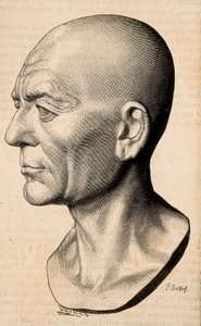 西庇阿（Scipio the African）的肖像 非洲人，罗马政治家（公元前 235-183 年）。 作者 未知艺术家
