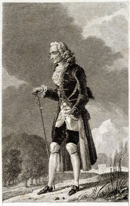 伏尔泰肖像（1694 - 1778），法国作家和哲学家，老人。 作者 未知艺术家