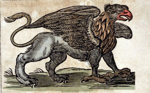 代表狮鹫、半鹰半狮的奇妙生物。 雕刻自 Athanasius Kircher (1601 - 1680)、耶稣会士、东方学家和学者的作品。 作者 未知艺术家