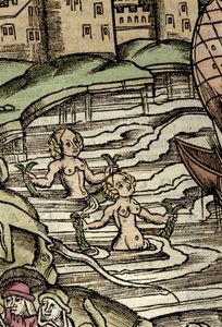 海妖的表现。16世纪的雕版画 作者 未知艺术家