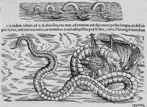 Sea snake, marine creature after Conrad (= Konrad) Gesner 作者 未知艺术家