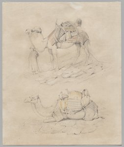 骆驼研究 作者 未知艺术家