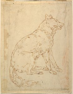 牧羊犬研究 作者 未知艺术家