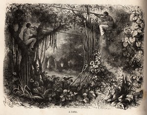 秘鲁的 Yahua 印第安人正在寻找猎物，栖息在 sarbacans 的树枝和武器中，并使用有毒的飞弹。 雕刻说明 1848-1860 年从太平洋到 L