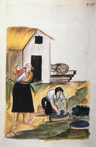 羊毛染色，出自《秘鲁特鲁希略》或《Códice Martínez Compañón》一书，作者为特鲁希略主教巴尔塔扎尔·马丁内斯·康帕尼翁·布扬达 (1782-1785) 作者 未知艺术家
