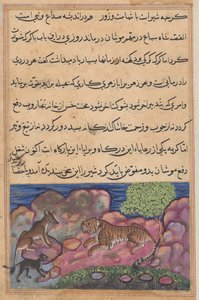 鹦鹉的故事》（Tuti-nama）中，狼建议狮子向猫请教：第十五夜 作者 未知艺术家