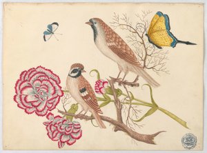 两只棕色的鸟与康乃馨和蝴蝶 作者 未知艺术家