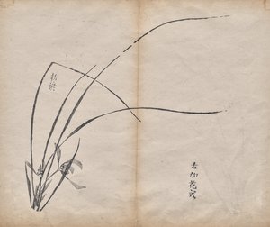无标题 作者 未知艺术家