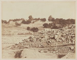 阿米尔·雅库布·汗（Amir Yakhub Khan）的营地，签署了《甘达马克条约》，贾菲德·辛格，1879年5月 作者 未知的摄影师