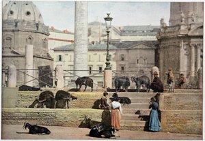 Ancient Rome: view of the Rome Forum. Italy, late 19th century. 作者 未知的摄影师
